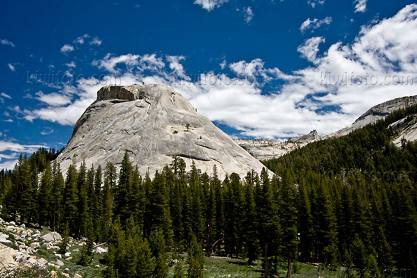 Yosemite National Park