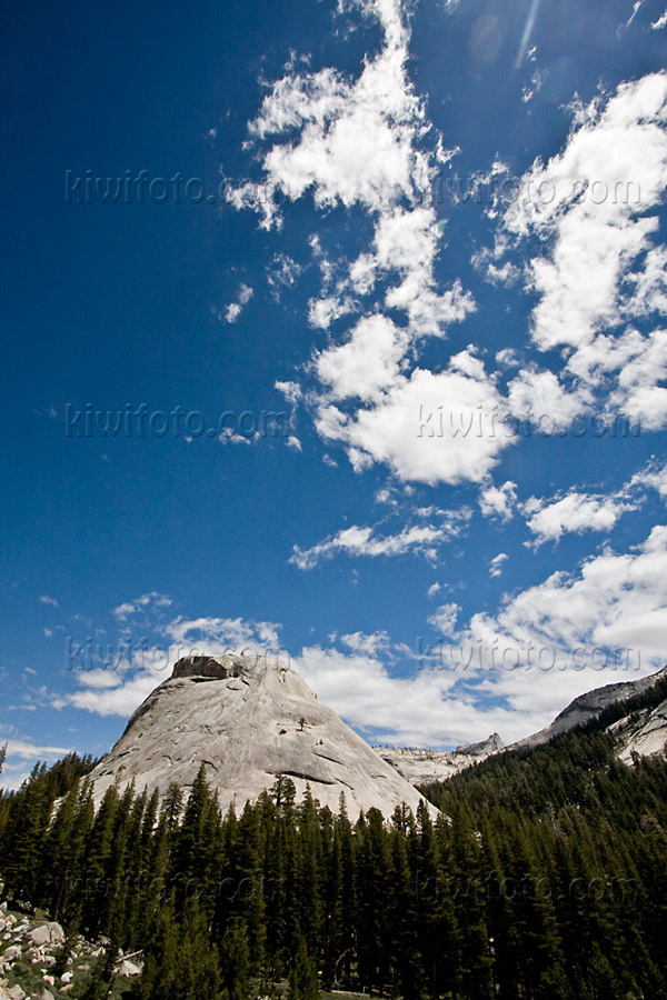 Yosemite National Park