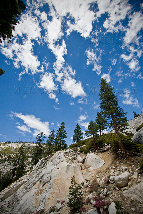 Yosemite National Park