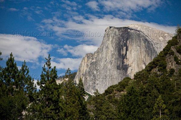 Yosemite National Park